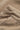 Produktbild 5 von JOOP Hose Edda aus Cord in Beige.