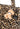 Taschen GRACE Tasche mit Leoparden-Print