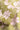 2e6baa10-095a-4b17-b4d7-f077bae7290d.jpg