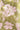 6ed64ed9-a355-4510-a52b-ae0775ed3bbb.jpg