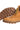 Produktbild 4 von DSQUARED2 Boots mit D2-Monogramm in Braun.