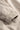 88ba41e6-dbca-450b-8a97-a3bcd153da27.jpg