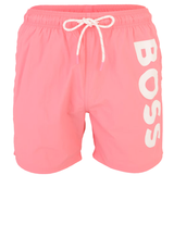 943f20e0-0755-4db2-a3be-2ed9e0900d17.png