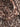 Blusen & Tuniken JOOP Bluse Bettina