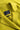 f8d9d7be-dc98-4fe4-9d8c-f23d7c98e9e2.jpg